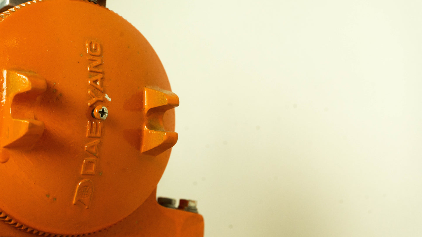 Dae Yang 2 foot Strip Light Orange