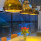 Brass dome pendant light